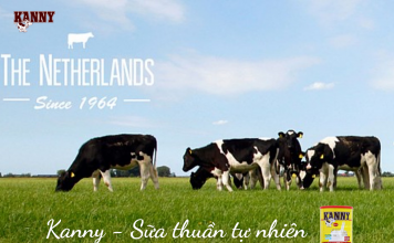 SỮA ORGANIC – THUẦN TỰ NHIÊN – AN TÂM SỬ DỤNG