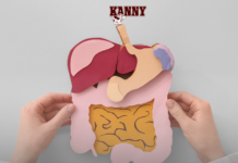 Kanny – Giải Pháp Dinh Dưỡng Cho Người Cao Tuổi: Bí Quyết Hỗ Trợ Tiêu Hóa Khỏe Mạnh