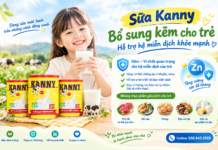 Sữa Kanny – Bổ sung kẽm cho trẻ, hỗ trợ hệ miễn dịch khỏe mạnh